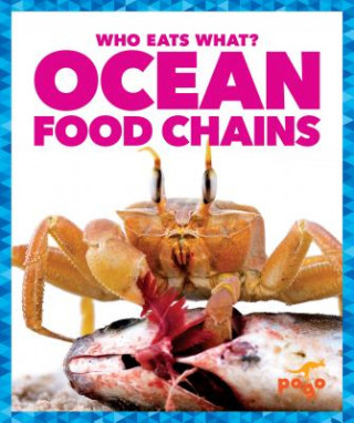 Książka Ocean Food Chains Rebecca Pettiford