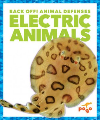 Buch Electric Animals Cari Meister