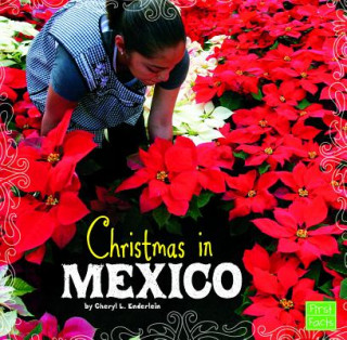 Carte Christmas in Mexico Cheryl L. Enderlein