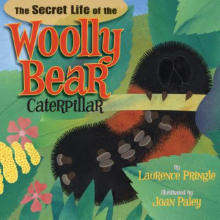 Kniha The Secret Life of the Woolly Bear Caterpillar Laurence Pringle