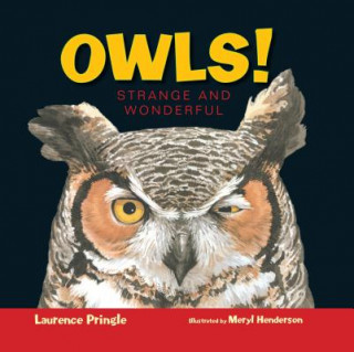 Könyv Owls! Laurence Pringle