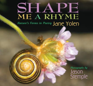 Carte Shape Me a Rhyme Jane Yolen