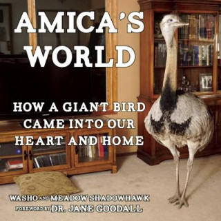 Książka Amica's World Washo Shadowhawk