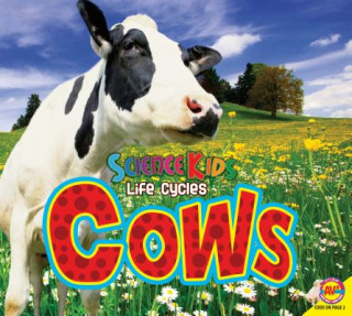 Carte Cows Aaron Carr