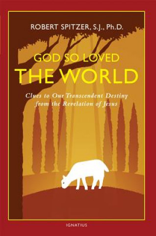 Книга God So Loved the World Robert J. Spitzer