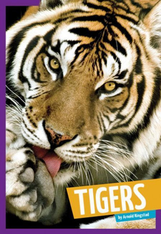 Buch Tigers Arnold Ringstad