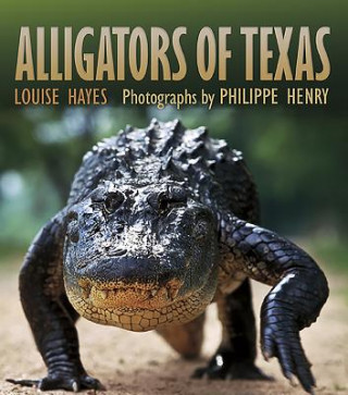 Knjiga Alligators of Texas Louise Hayes