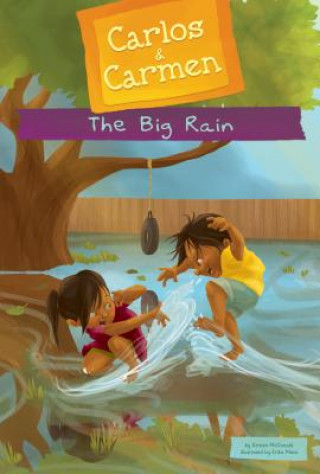 Buch The Big Rain Kirsten McDonald