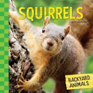Knjiga Squirrels Kristin Petrie