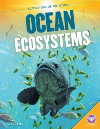 Book Ocean Ecosystems Pam Watts