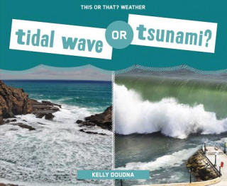 Kniha Tidal Wave or Tsunami? Kelly Doudna
