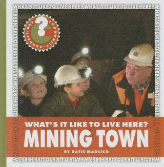 Livre Mining Town Katie Marsico