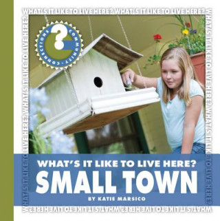 Livre Small Town Katie Marsico