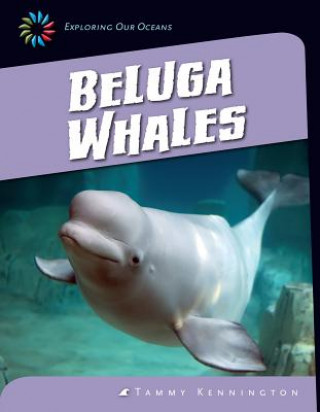 Libro Beluga Whales Tammy Kennington