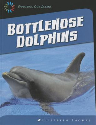 Carte Bottlenose Dolphins Elizabeth Thomas