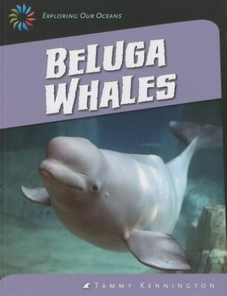 Książka Beluga Whales Tammy Kennington