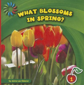 Buch What Blossoms in Spring? Jenna Lee Gleisner