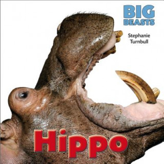 Buch Hippo Stephanie Turnbull