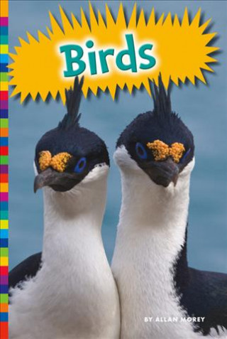 Buch Birds Allan Morey