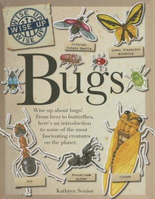 Книга Bugs Kathryn Senior