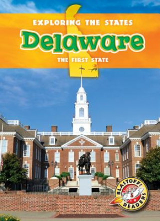 Boek Delaware Emily Schnobrich