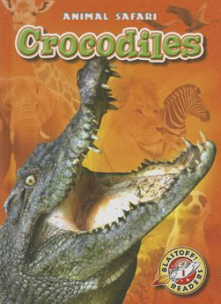 Könyv Crocodiles Megan Borgert-spaniol
