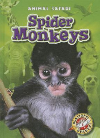 Kniha Spider Monkeys Megan Borgert-spaniol