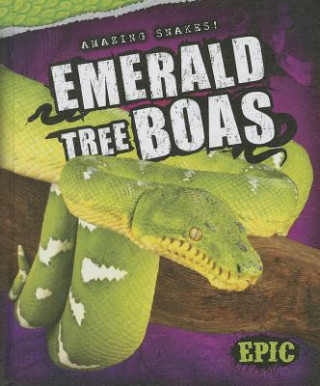 Książka Emerald Tree Boas Emily Rose Oachs