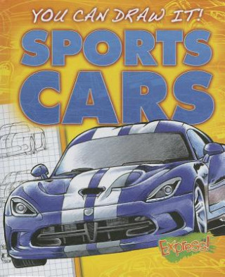 Kniha Sports Cars Steve Porter