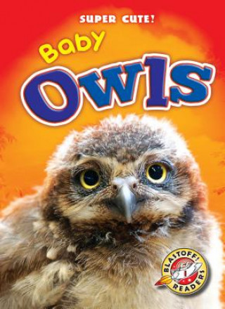 Könyv Baby Owls Christina Leaf