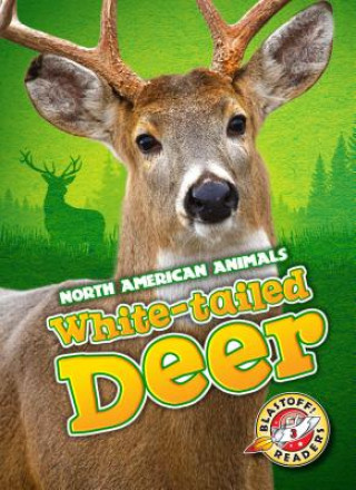 Kniha White-Tailed Deer Chris Bowman