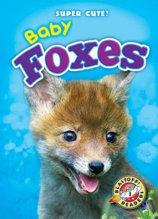 Kniha Baby Foxes Megan Borgert-spaniol
