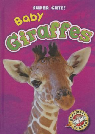 Kniha Baby Giraffes Megan Borgert-spaniol