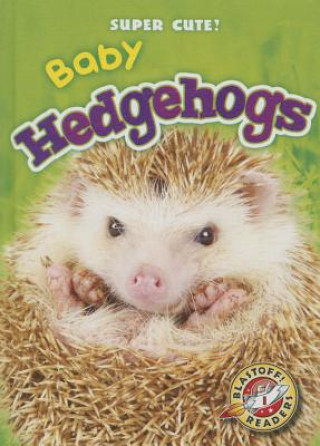 Książka Baby Hedgehogs Megan Borgert-spaniol