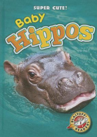 Książka Baby Hippos Megan Borgert-spaniol