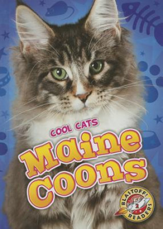 Книга Maine Coons Rebecca Felix