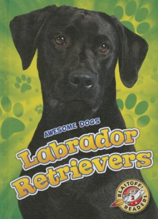 Kniha Labrador Retrievers Labrador Retrievers Chris Bowman