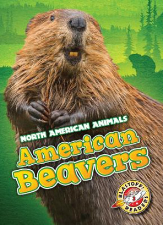 Kniha American Beavers Megan Borgert-spaniol