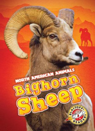 Könyv Bighorn Sheep Megan Borgert-spaniol
