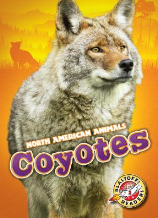 Carte Coyotes Chris Bowman