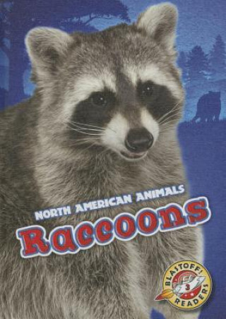 Kniha Raccoons Chris Bowman