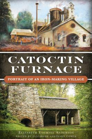 Książka Catoctin Furnace Elizabeth Yourtee Anderson