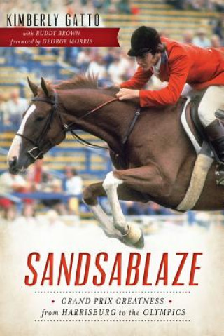 Книга Sandsablaze Kimberly Gatto