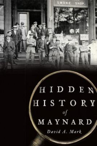 Kniha Hidden History of Maynard David A. Mark