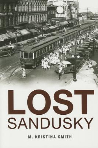 Buch Lost Sandusky M. Kristina Smith