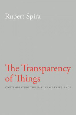 Kniha Transparency of Things Rupert Spira