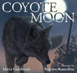 Kniha Coyote Moon Maria Gianferrari