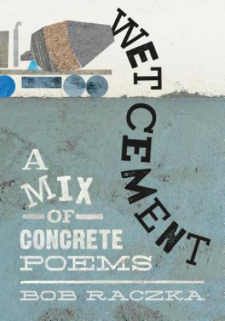 Книга Wet Cement Bob Raczka