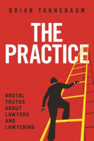 Книга The Practice Brian Tannebaum