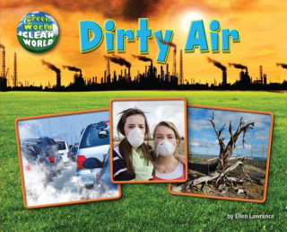 Kniha Dirty Air Ellen Lawrence